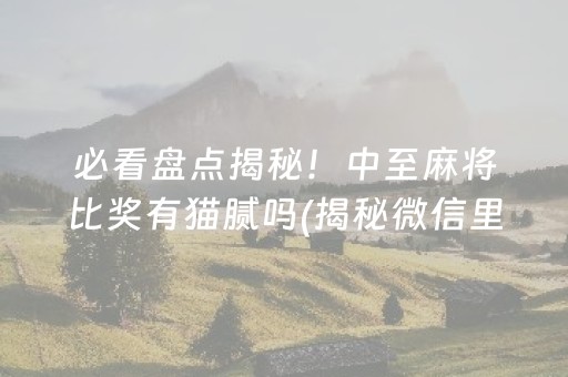 必看盘点揭秘！中至麻将比奖有猫腻吗(揭秘微信里赢牌技巧)