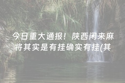 今日重大通报！陕西闲来麻将其实是有挂确实有挂(其实真的确实有挂)