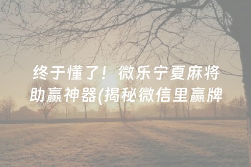 终于懂了！微乐宁夏麻将助赢神器(揭秘微信里赢牌的技巧)