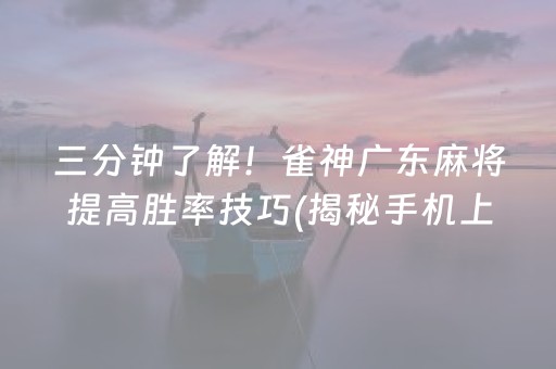 三分钟了解！雀神广东麻将提高胜率技巧(揭秘手机上提高胜率)