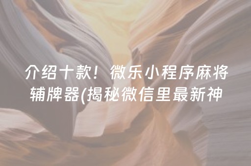 介绍十款！微乐小程序麻将辅牌器(揭秘微信里最新神器下载)