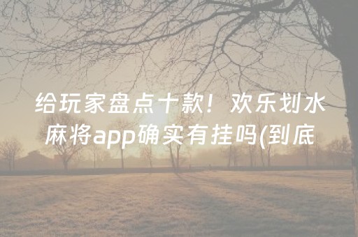 给玩家盘点十款！欢乐划水麻将app确实有挂吗(到底是不是有挂)