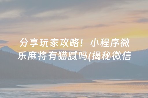 分享玩家攻略！小程序微乐麻将有猫腻吗(揭秘微信里插件下载)