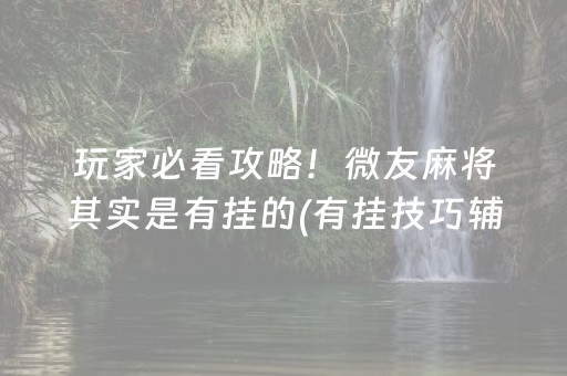 玩家必看攻略！微友麻将其实是有挂的(有挂技巧辅助器)