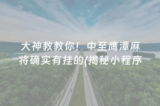 大神教教你！中至鹰潭麻将确实有挂的(揭秘小程序系统发好牌)