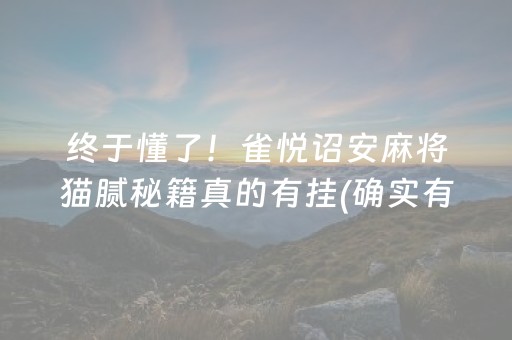 终于懂了！雀悦诏安麻将猫腻秘籍真的有挂(确实有挂吗)