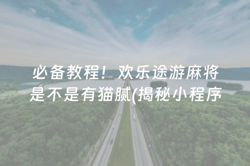 必备教程！欢乐途游麻将是不是有猫腻(揭秘小程序输赢技巧)