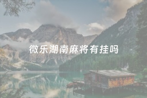 微乐湖南麻将有挂吗（微乐湖南麻将开挂安装）