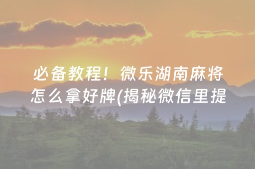 必备教程！微乐湖南麻将怎么拿好牌(揭秘微信里提高胜率)