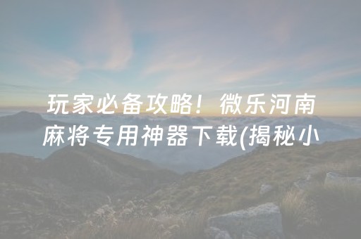 玩家必备攻略！微乐河南麻将专用神器下载(揭秘小程序如何让牌变好)