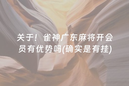 关于！雀神广东麻将开会员有优势吗(确实是有挂)