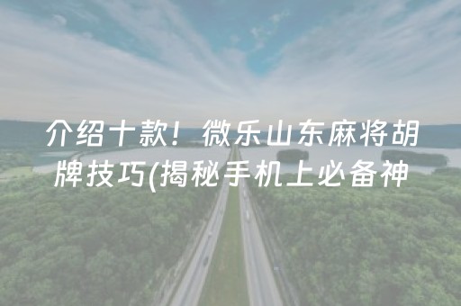 介绍十款！微乐山东麻将胡牌技巧(揭秘手机上必备神器)