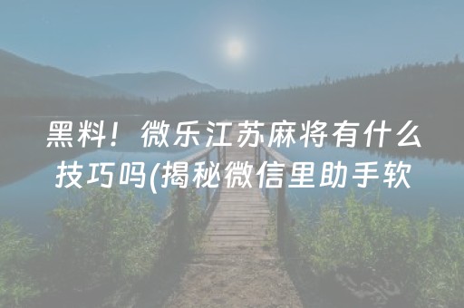 黑料！微乐江苏麻将有什么技巧吗(揭秘微信里助手软件)