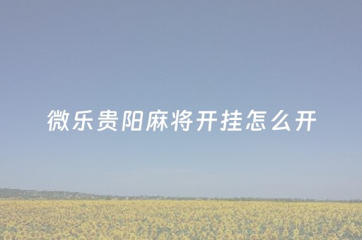 微乐贵阳麻将开挂怎么开（微乐贵阳麻将怎样免费开挂）