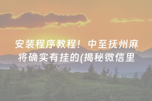 安装程序教程！中至抚州麻将确实有挂的(揭秘微信里助赢神器购买)