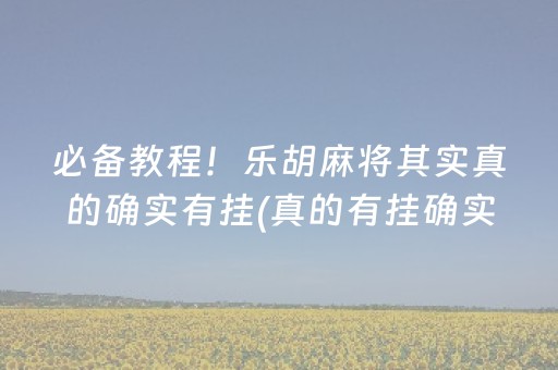 必备教程！乐胡麻将其实真的确实有挂(真的有挂确实有挂)