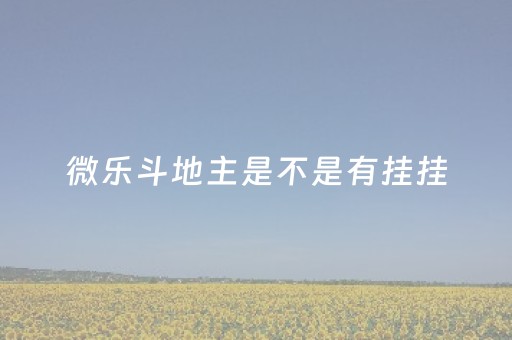 微乐斗地主是不是有挂挂（微乐斗地主有挂是真的）