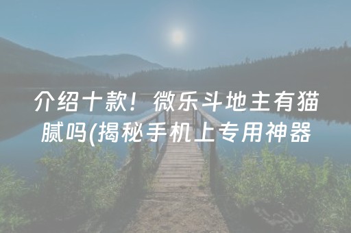 介绍十款！微乐斗地主有猫腻吗(揭秘手机上专用神器)