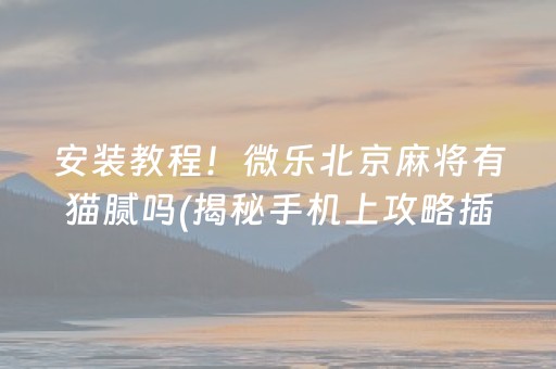 安装教程！微乐北京麻将有猫腻吗(揭秘手机上攻略插件)