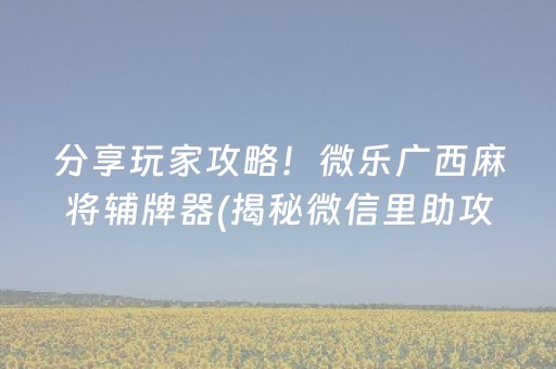 分享玩家攻略！微乐广西麻将辅牌器(揭秘微信里助攻神器)