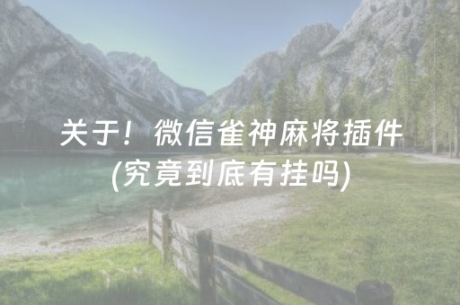 我来告诉大家“雀神广东麻将输赢规律”!详细开挂教程-知乎