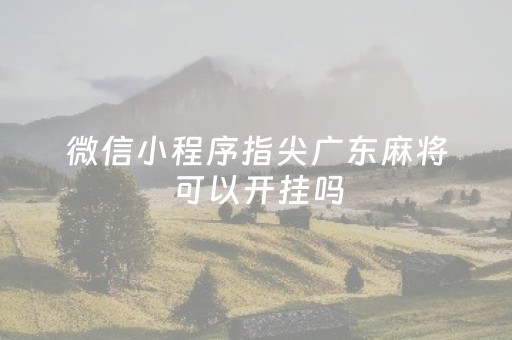 微信小程序指尖广东麻将可以开挂吗（指尖广东麻将有挂吗）