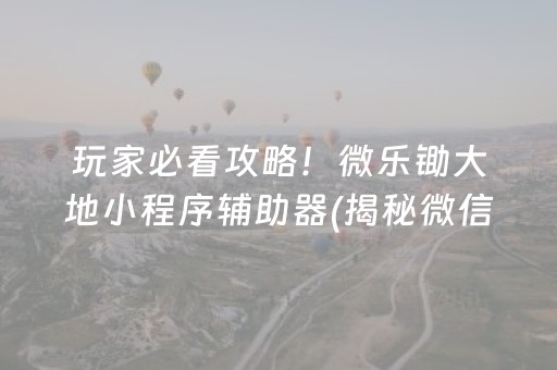 玩家必看攻略！微乐锄大地小程序辅助器(揭秘微信里最新神器下载)