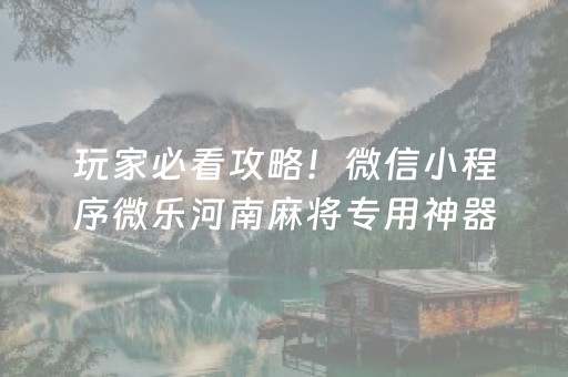 玩家必看攻略！微信小程序微乐河南麻将专用神器(揭秘微信里最新神器下载)