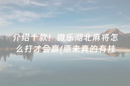 介绍十款！微乐湖北麻将怎么打才会赢(原来真的有挂)