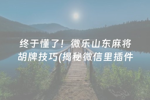 终于懂了！微乐山东麻将胡牌技巧(揭秘微信里插件购买)