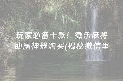 玩家必备十款！微乐麻将助赢神器购买(揭秘微信里确实有猫腻)