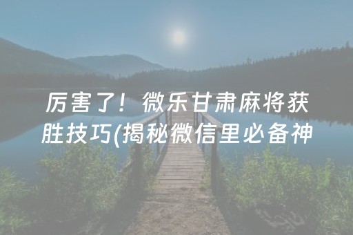 厉害了！微乐甘肃麻将获胜技巧(揭秘微信里必备神器)