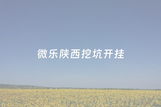 微乐陕西挖坑开挂（小程序微乐陕西挖坑开挂）