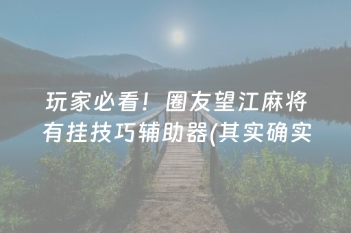 玩家必看！圈友望江麻将有挂技巧辅助器(其实确实有挂)