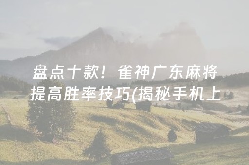 盘点十款！雀神广东麻将提高胜率技巧(揭秘手机上必备神器)