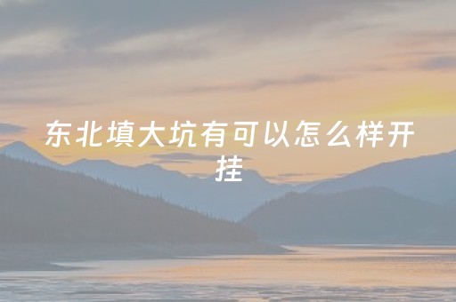 东北填大坑有可以怎么样开挂（东北填大坑有什么窍门）