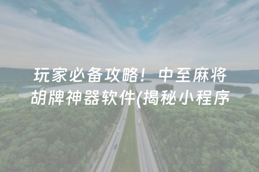 玩家必备攻略！中至麻将胡牌神器软件(揭秘小程序输赢规律)