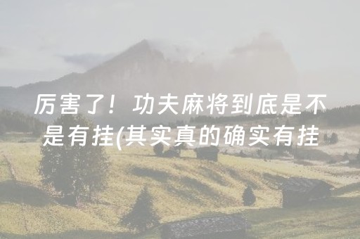 厉害了！功夫麻将到底是不是有挂(其实真的确实有挂)