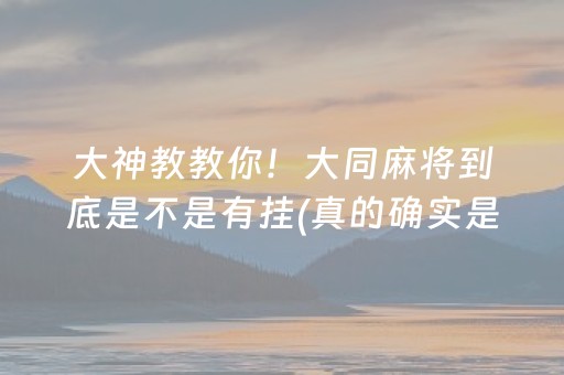 大神教教你！大同麻将到底是不是有挂(真的确实是有挂)