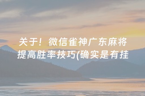 关于！微信雀神广东麻将提高胜率技巧(确实是有挂的)