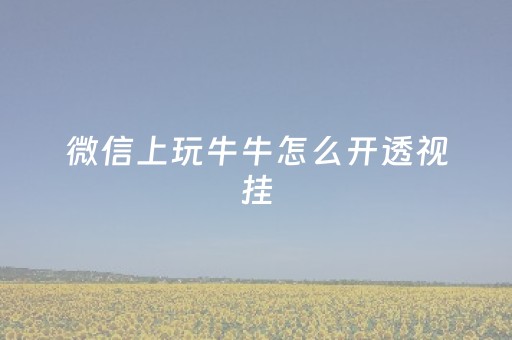 微信上玩牛牛怎么开透视挂（微信牛牛可以透视吗）