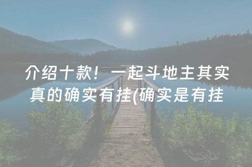 介绍十款！一起斗地主其实真的确实有挂(确实是有挂的)