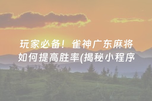 玩家必备！雀神广东麻将如何提高胜率(揭秘小程序提高赢的概率)