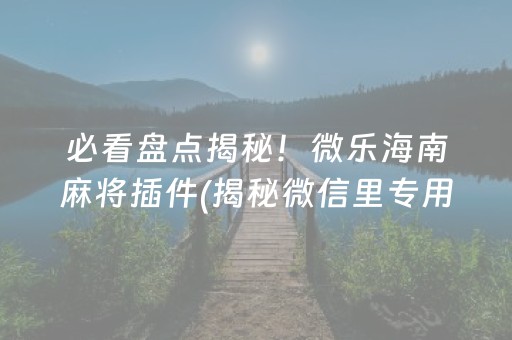 必看盘点揭秘！微乐海南麻将插件(揭秘微信里专用神器下载)