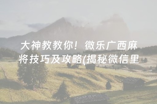 大神教教你！微乐广西麻将技巧及攻略(揭秘微信里胜率到哪调)