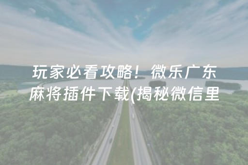 玩家必看攻略！微乐广东麻将插件下载(揭秘微信里提高赢的概率)