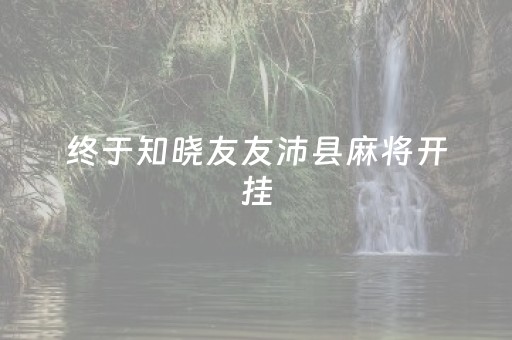 终于知晓友友沛县麻将开挂（友友沛县麻将免费挂）