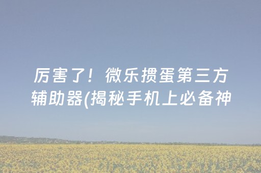 厉害了！微乐掼蛋第三方辅助器(揭秘手机上必备神器)