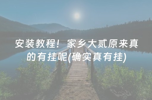 安装教程！家乡大贰原来真的有挂呢(确实真有挂)