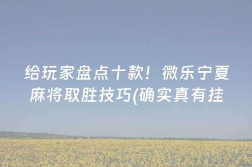 给玩家盘点十款！微乐宁夏麻将取胜技巧(确实真有挂)